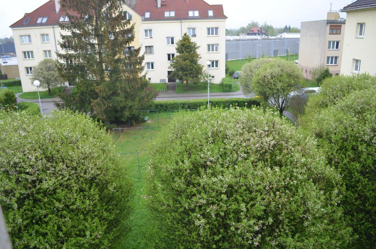 Room In Třeboň Buitenkant foto